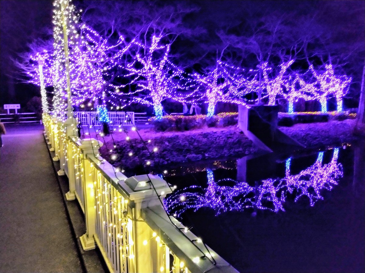 5vaXUIxmjd2UqCb's tweet photo. 東武動物公園のイルミネーション見てきました😃なかなかよかった😃
混んでないのか広すぎて人口密度が低いのか😅ゆっくりのんびりできました😃
また来たい😁 https://t.co/sE5htbr4FU