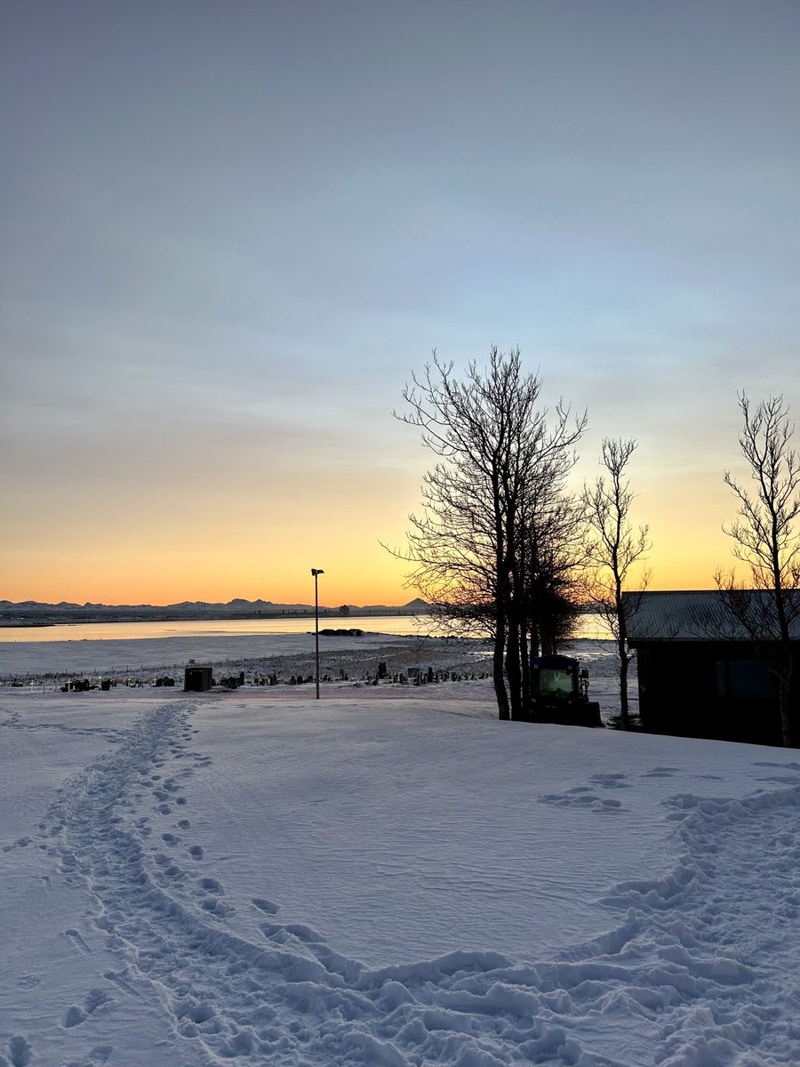 First sunset of the year taken yesterday 🌅

Garðakirkja, Iceland 🇮🇸