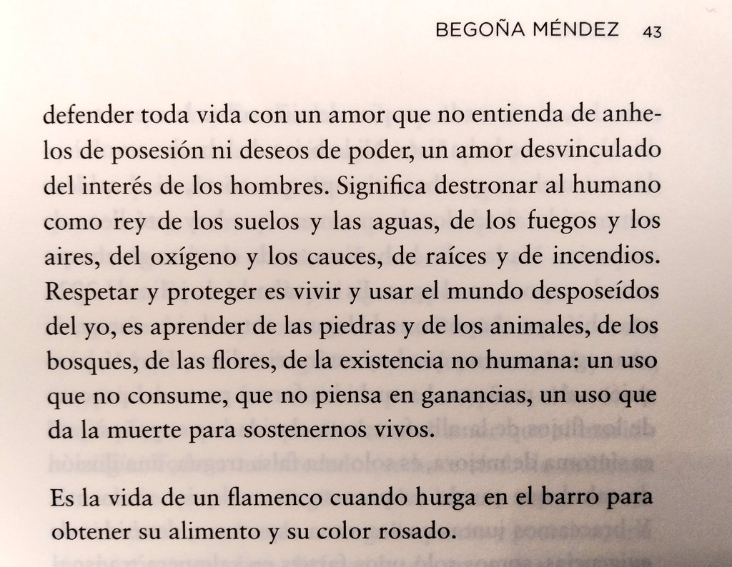 arandanera's tweet photo. «...los ambientes son cuerpos, cuerpos frágiles y vivos, y (...) en su interior las especies y los paisajes configuran una urdimbre de seres entrelazados que se usan y se cuidan, que se comen y se matan, que se aniquilan sin daño en flujos de amor y muerte».
«Lodo», Begoña Méndez https://t.co/NxGvjO05rH