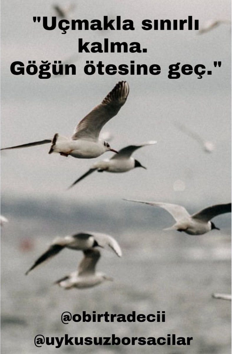 ⚡ Piyasanın dalgaları bizi sarsmaz; biz o dalgaları yönlendirenleriz.

💡 Herkes kaosu görür, biz düzeni buluruz.

📈 Büyük kazançlar, küçük detaylarda saklıdır.

🔗 Sessiz güç burada:

t.me/uykusuzborsaci…

#ykbnk #kchol #sasa #garan #ekgyo