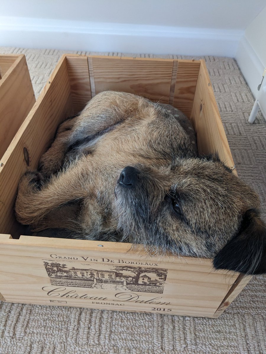 PTrufflesBT tweet media