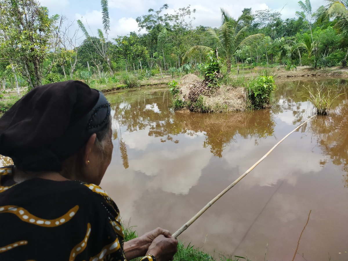 arek_berau's tweet photo. Selasa, 29/10/2024, Kunjungan anjangsana ke pelaku utama KP ; monitoring kegiatan usaha budidaya ikan air tawar di Kp. Melati Jaya Kecamatan Gunung Tabur Kabupaten Berau 
#GiatLuhkansatminkaltegal
#Luhkanberau https://t.co/FRIDBeNp7D