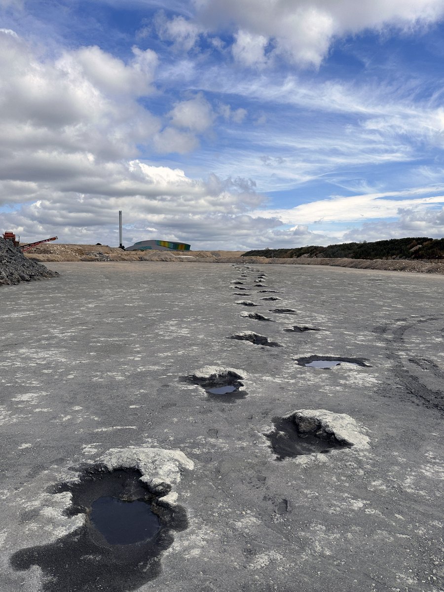 Our palaeontologists worked with their counterparts from <a href="/UniofOxford/">University of Oxford</a> to uncover a huge expanse of quarry floor filled with hundreds of different prehistoric footprints on Britain’s ‘dinosaur highway’ birmingham.ac.uk/news/2024/majo…