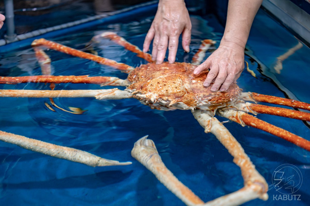世界最大のカニであるタカアシガニをメインとする世界最大級の深海大