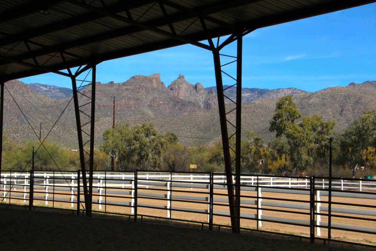 Laura Miller tweet media