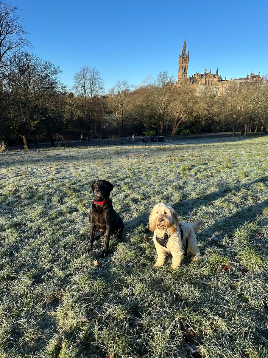 Anton Muscatelli tweet media