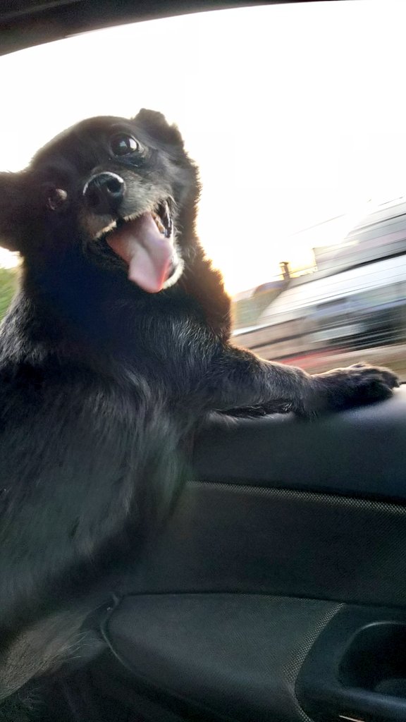 Jessica 🍩 tweet media