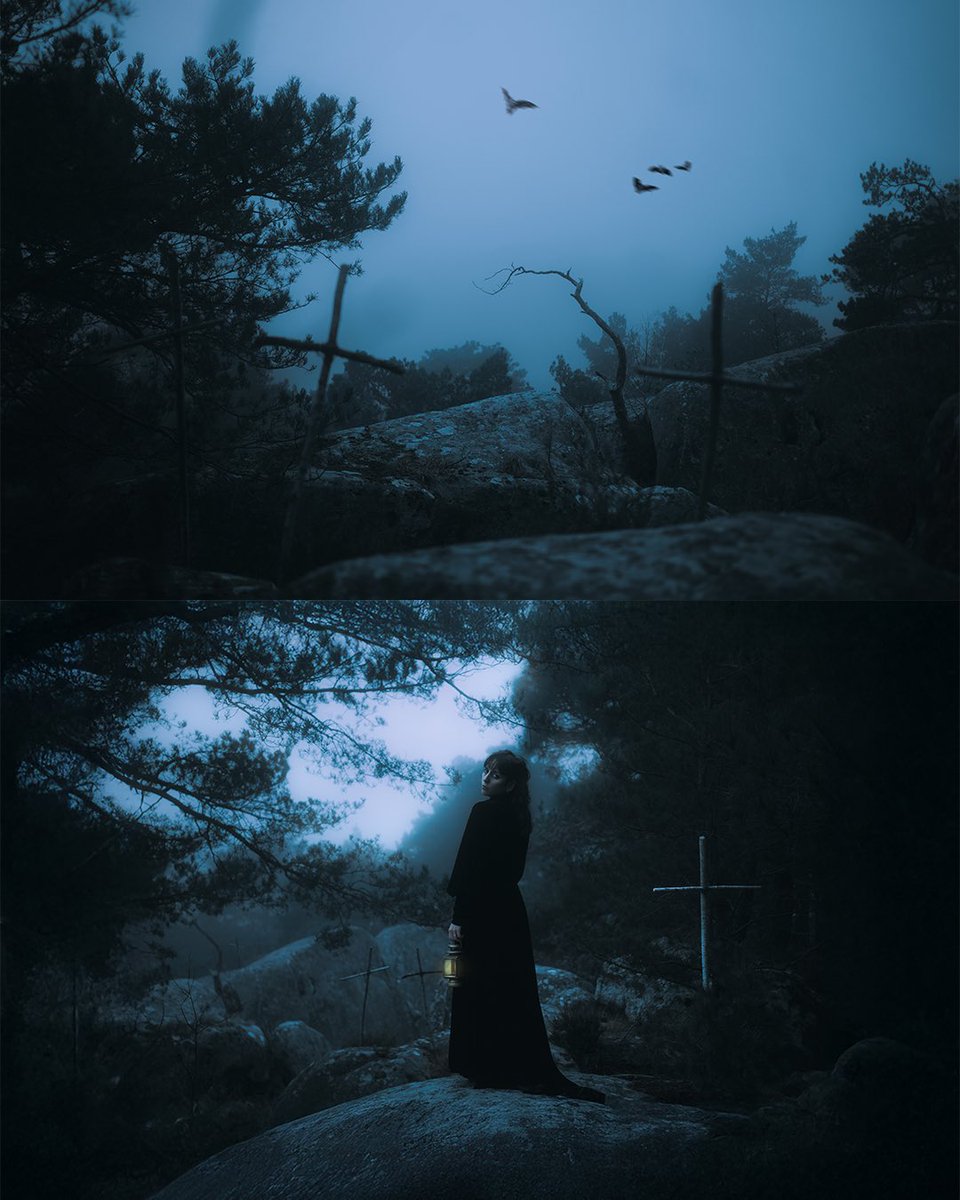 Qui a vu Nosferatu ?

#nosferatu #goth