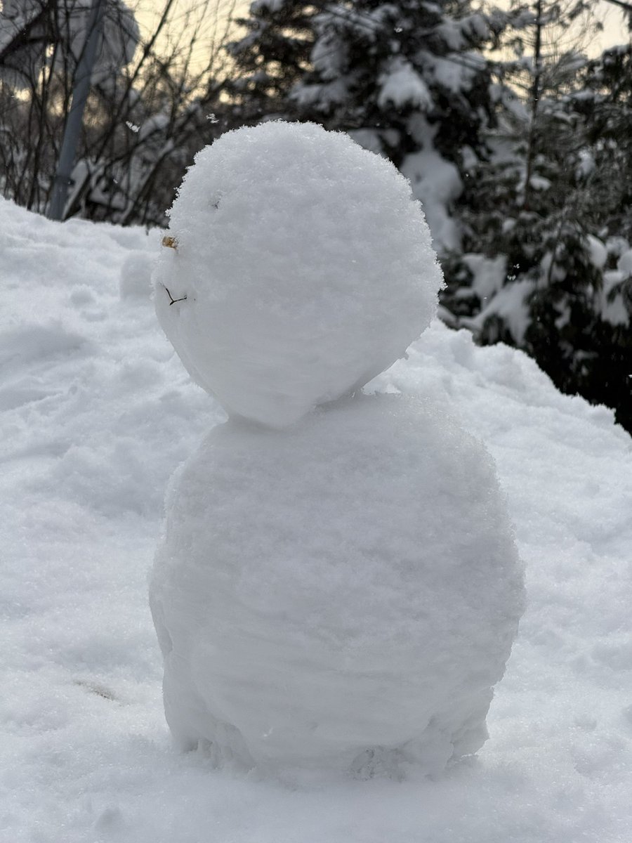 Ski in Japan in 2025