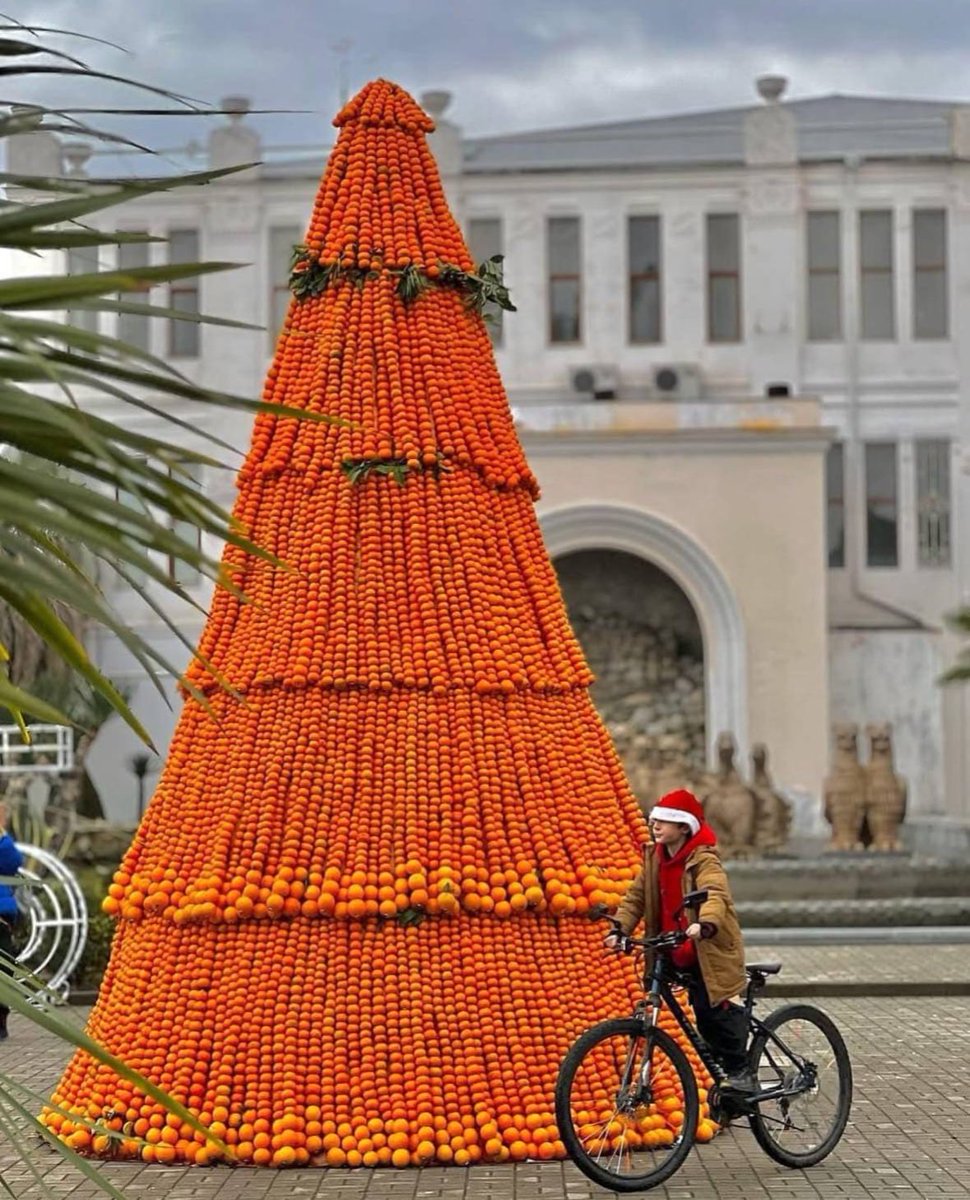 This tangerine New Year tree in Abkhazia showcases more than just holiday cheer or regional agro-ethnographic bounty. It stands as an act of resistance against the Russian embargo on tangerine exports, a punishment for the Abkhazian people’s recent protests

With solidarity ✊🍊