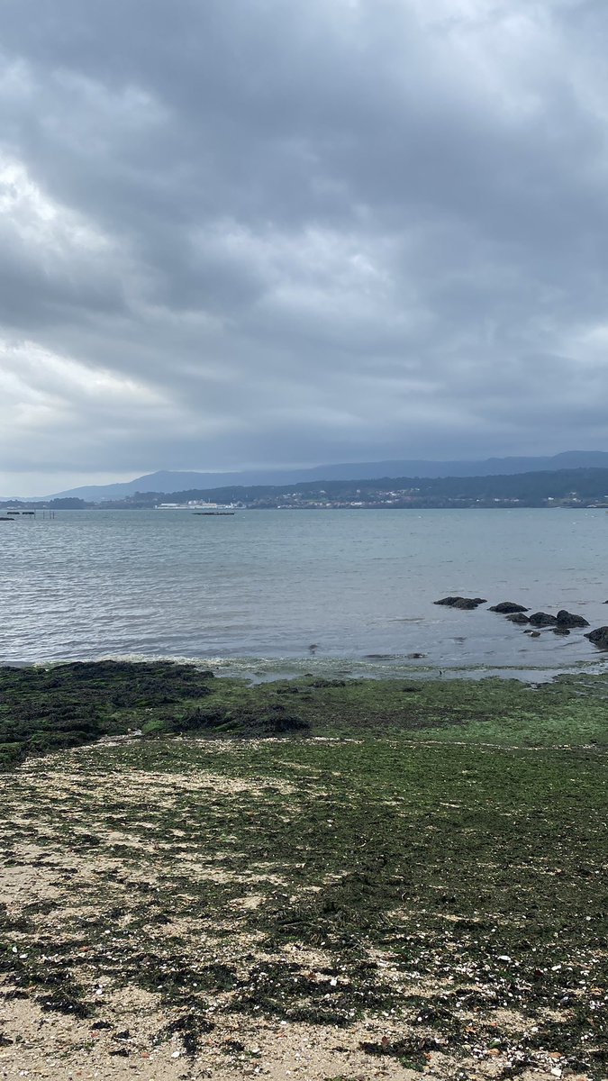 SojeeJs's tweet image. 🌊