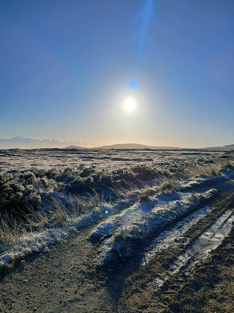 RedDetty's tweet image. Nice frosty mountain walk