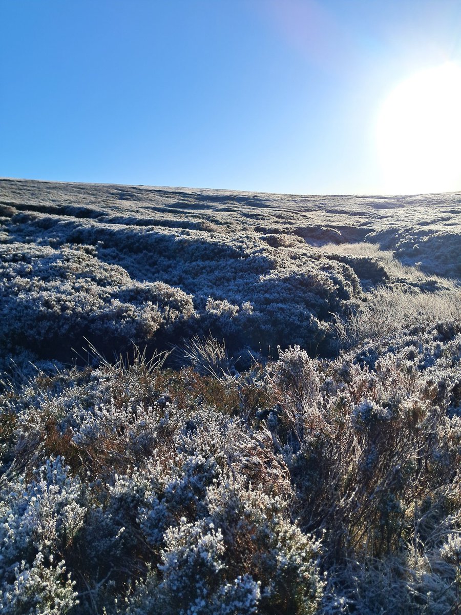 RedDetty's tweet image. Nice frosty mountain walk