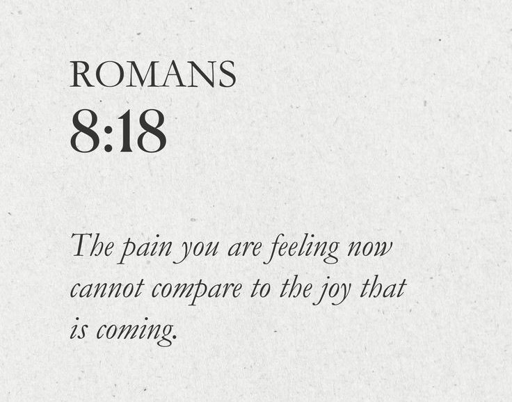 Bible 365 (@bible365_) on Twitter photo 