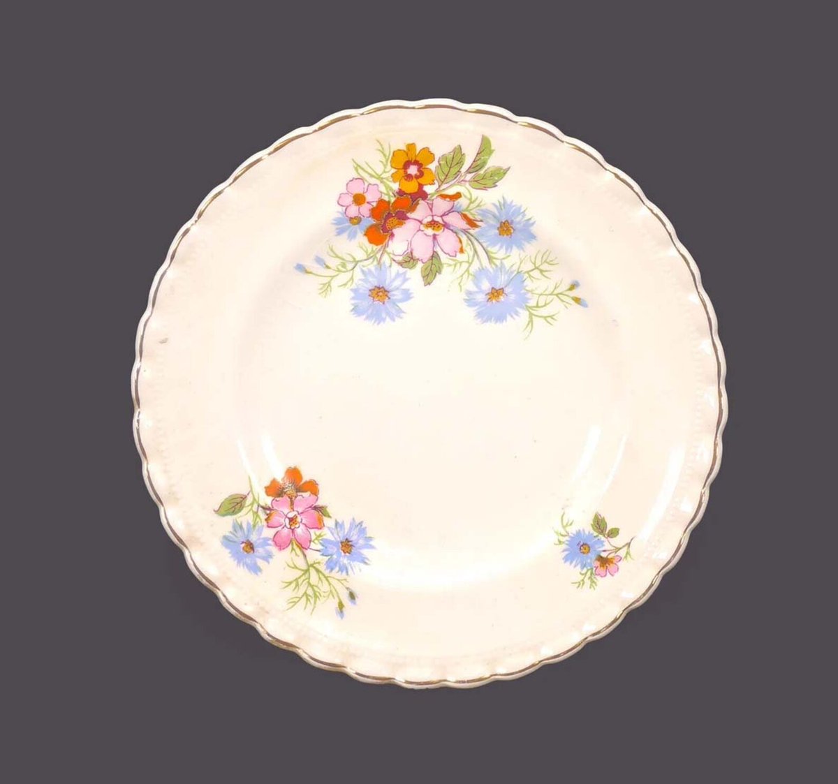 G97816960Girl's tweet photo. Antique Edwardian Age J&G Meakin Peveril bread, dessert plate. Sol Sunshine ironstone made in England. https://t.co/Kj3EP9jRCv via @Etsy #BuyfromGroovy #antiques #tableware #tabledecor #antiquedishes #EdwardianAge #Peveril #JGMeakin #MeakinPeveril #etsysellers https://t.co/9AFU51wYWj