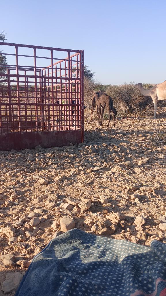 بعيد عن زحمة الحياة وضنكهى