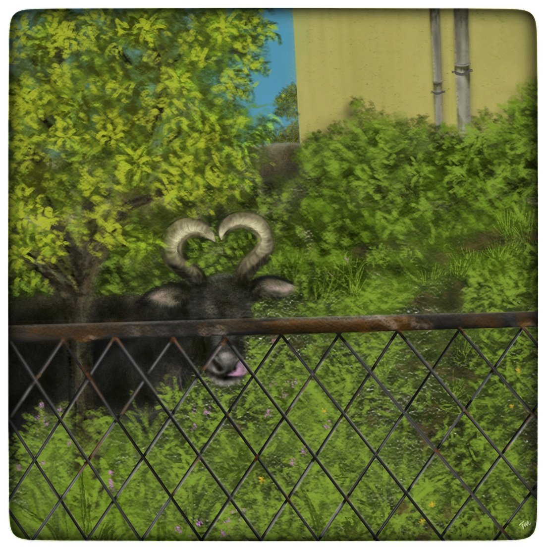 muthu_tara's tweet image. Went out to lunch ystrdy n as we weaved into tiny roads trying to beat main road traffic, saw this beauty of a buffalo, horns formed into a ❤️ 
Since I couldn&apos;t stop to take a picture, tried to sketch instead. 
#sketchesbytara #mapoftinyperfectthings #love #trouvaille #digitalart