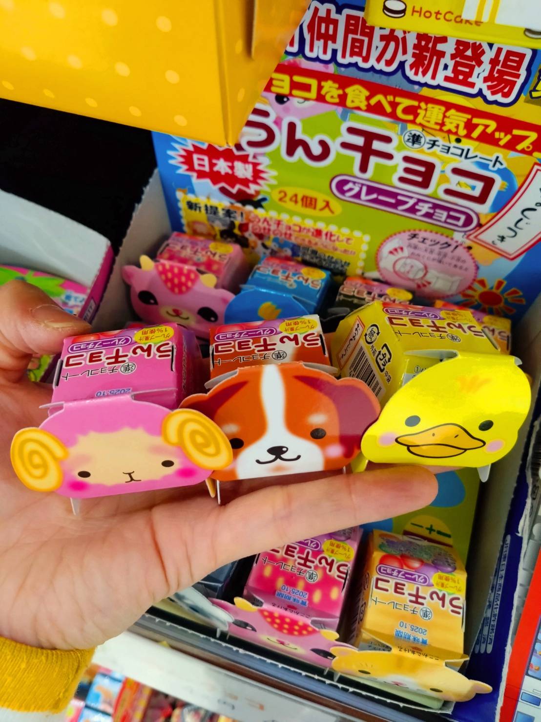 チョコ大好き様専用 甘平4kg+小玉ネーブル4kgぐるりん 果物