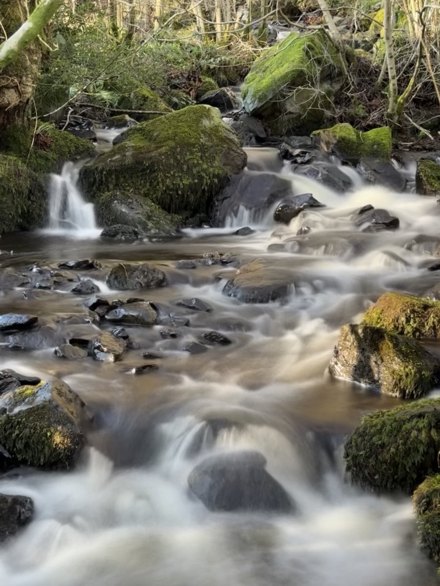 LakesPlanner's tweet image. Beautiful walking today ⁦@lakedistrictnpa⁩