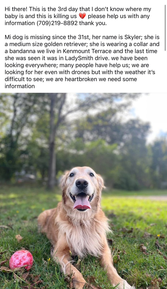 Please share 🙏🏻