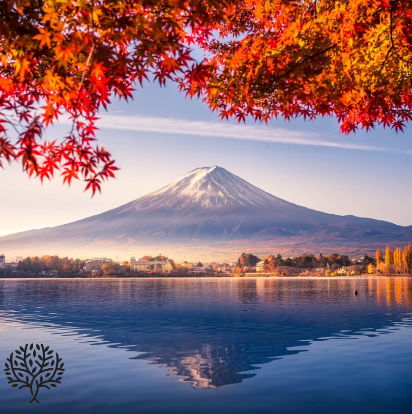 CEVKA_'s tweet photo. 🗻 Japonya'nın en ikonik göllerinden biri olan Kawaguchiko Gölü, Fuji Dağı’nın yansımasını görmek için ideal bir noktadır. Her mevsimde ayrı bir güzellik sunan bu göl, özellikle kiraz çiçekleri ve sonbahar yapraklarıyla çevrelendiğinde büyüleyici bir manzaraya dönüşüyor. https://t.co/G6Q2ePK5Va