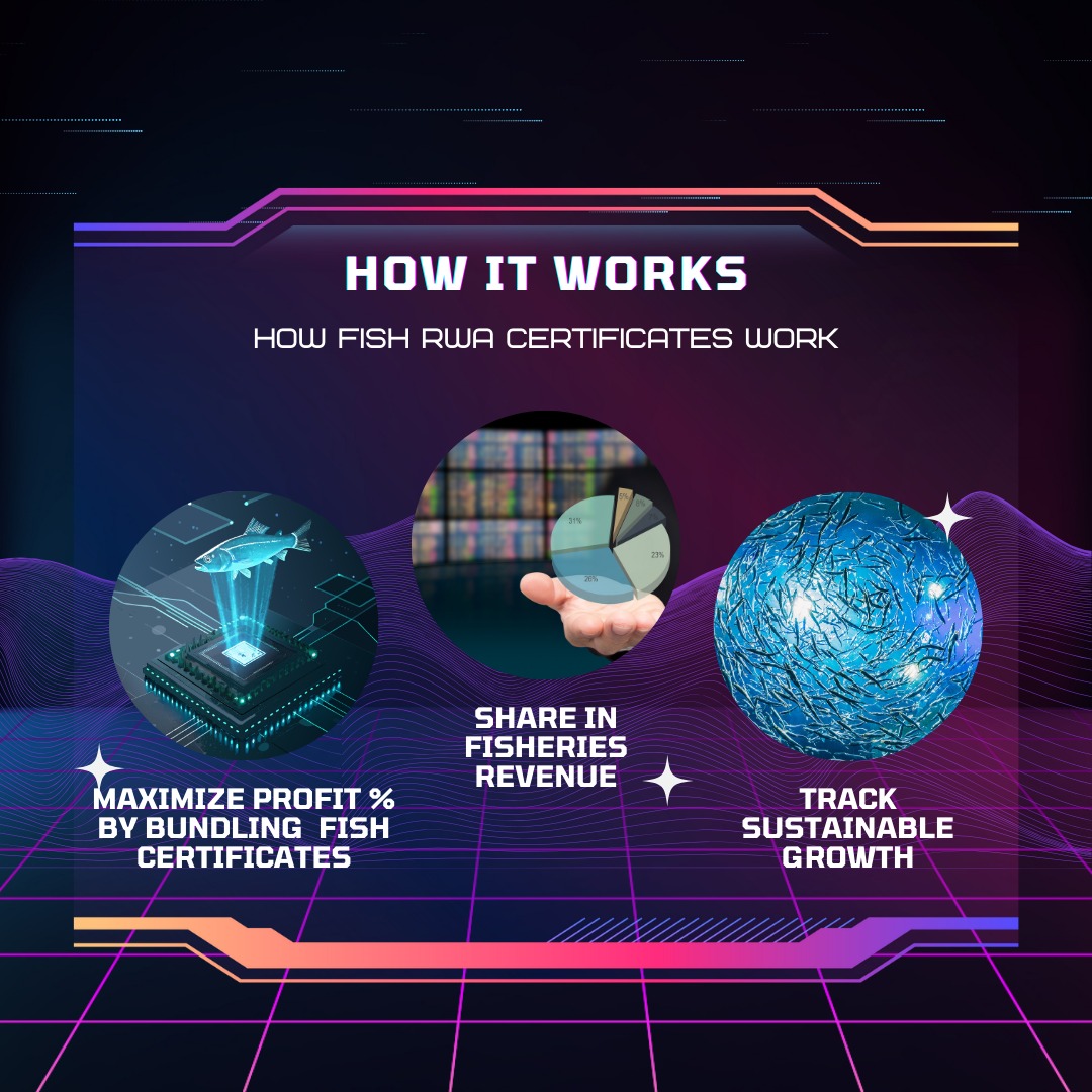 🐟 How Do Fish RWA CERTs Work? 🌍

Here’s your step-by-step guide to diving into the Fish Project:

1️⃣ Buy FISH CERTs: Start your journey by acquiring FISH CERTs. Bundle them to unlock even greater potential! 💼

2️⃣ Revenue Sharing: Enjoy your share of fisheries revenue, backed