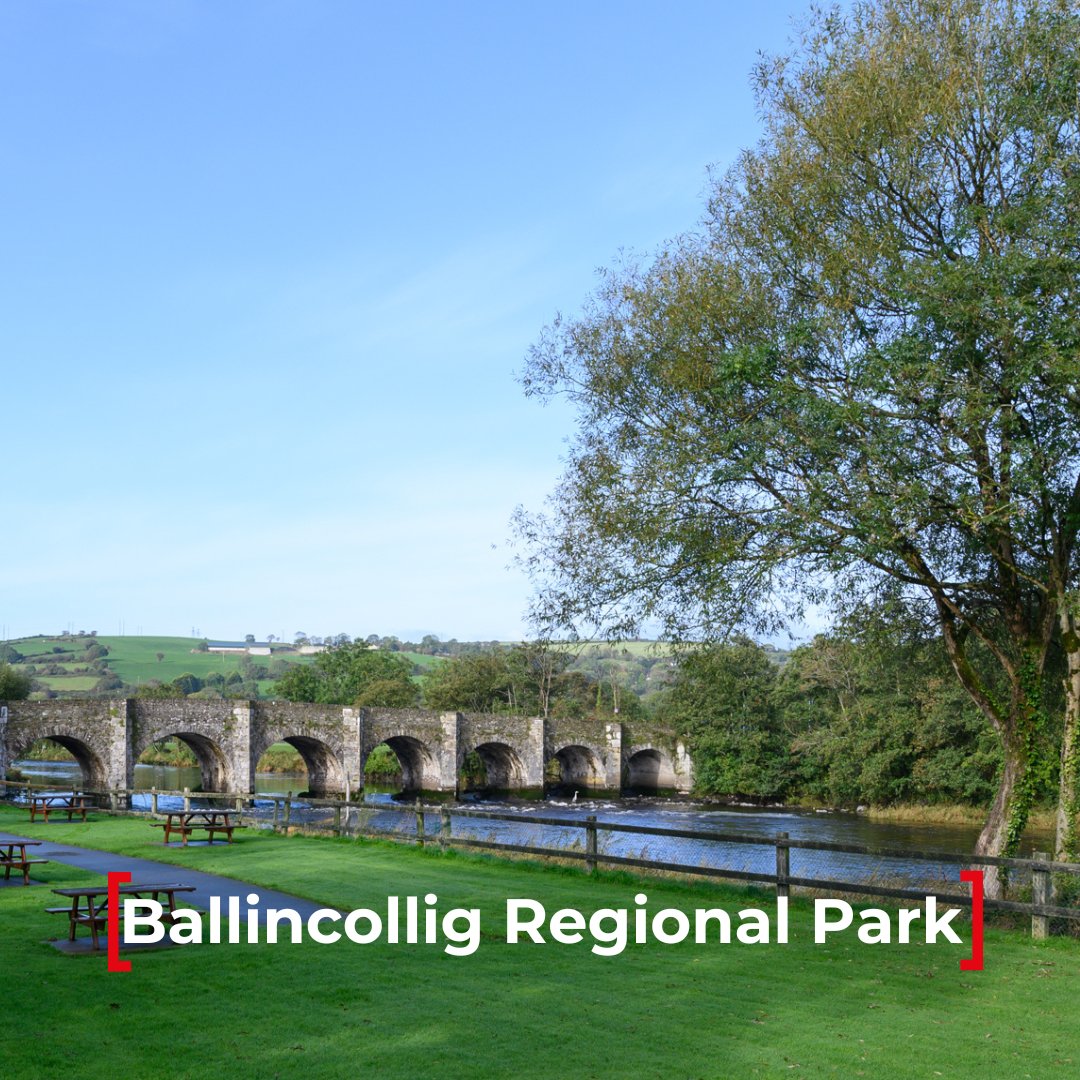 corkcitycouncil's tweet image. 🏃Looking to get your steps in? We have incredible #parks across our city providing the perfect environment to #keepfit and catch up with friends and family.
.
.
.
.
#walking #cork #active #fitness #environment #Health