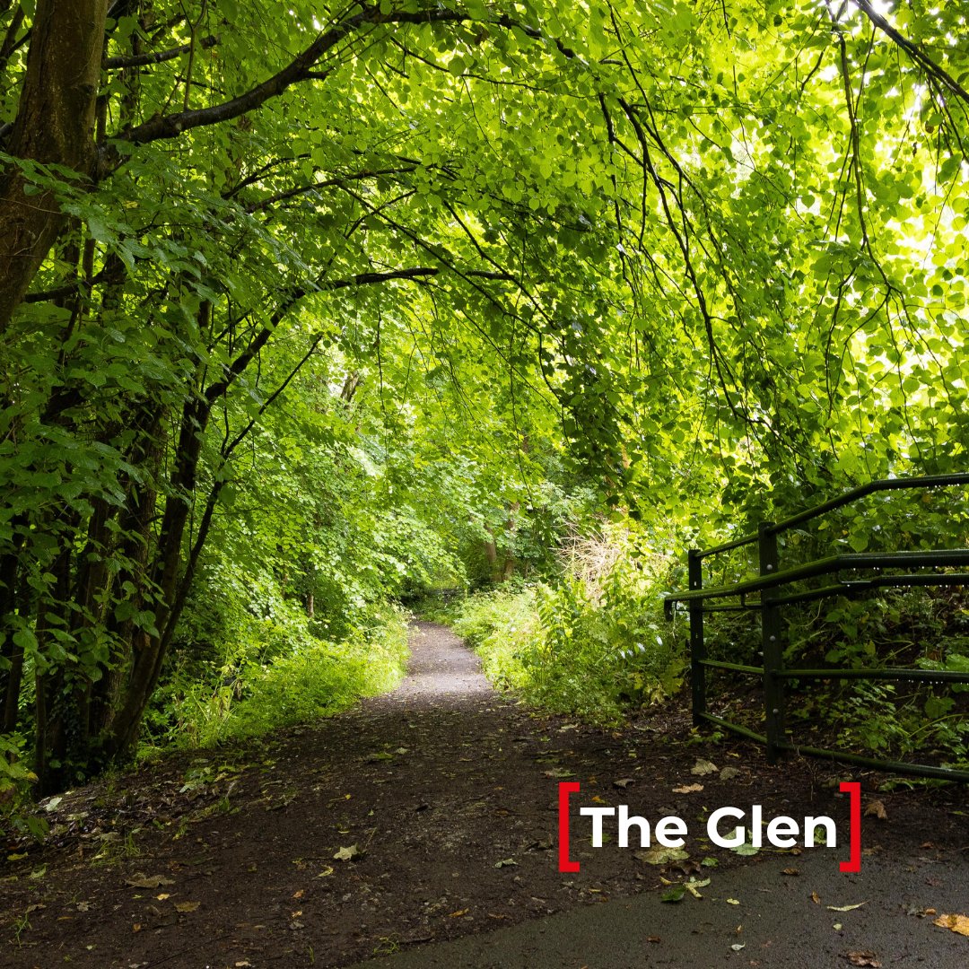 corkcitycouncil's tweet image. 🏃Looking to get your steps in? We have incredible #parks across our city providing the perfect environment to #keepfit and catch up with friends and family.
.
.
.
.
#walking #cork #active #fitness #environment #Health