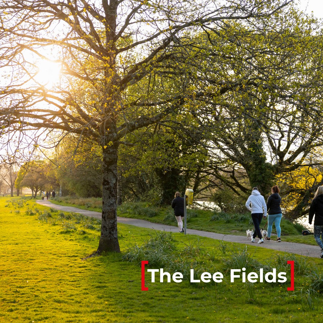 corkcitycouncil's tweet image. 🏃Looking to get your steps in? We have incredible #parks across our city providing the perfect environment to #keepfit and catch up with friends and family.
.
.
.
.
#walking #cork #active #fitness #environment #Health