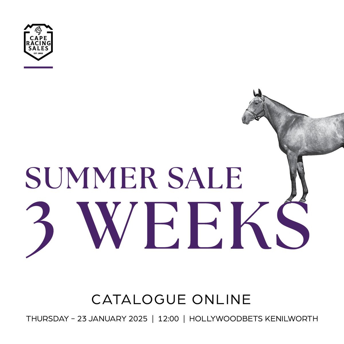 RaceCoastSales's tweet photo. The countdown continues to the Summer Sale 2025. 

We look forward to welcoming you to Hollywoodbets Kenilworth for the Summer Sale 2025. 

Please contact Vicky Minott for sales related queries vicky@caperacing.co.za 

#SummerSale2025 
#caperacingsales
#jointhepassion https://t.co/aNoWN4EgeZ