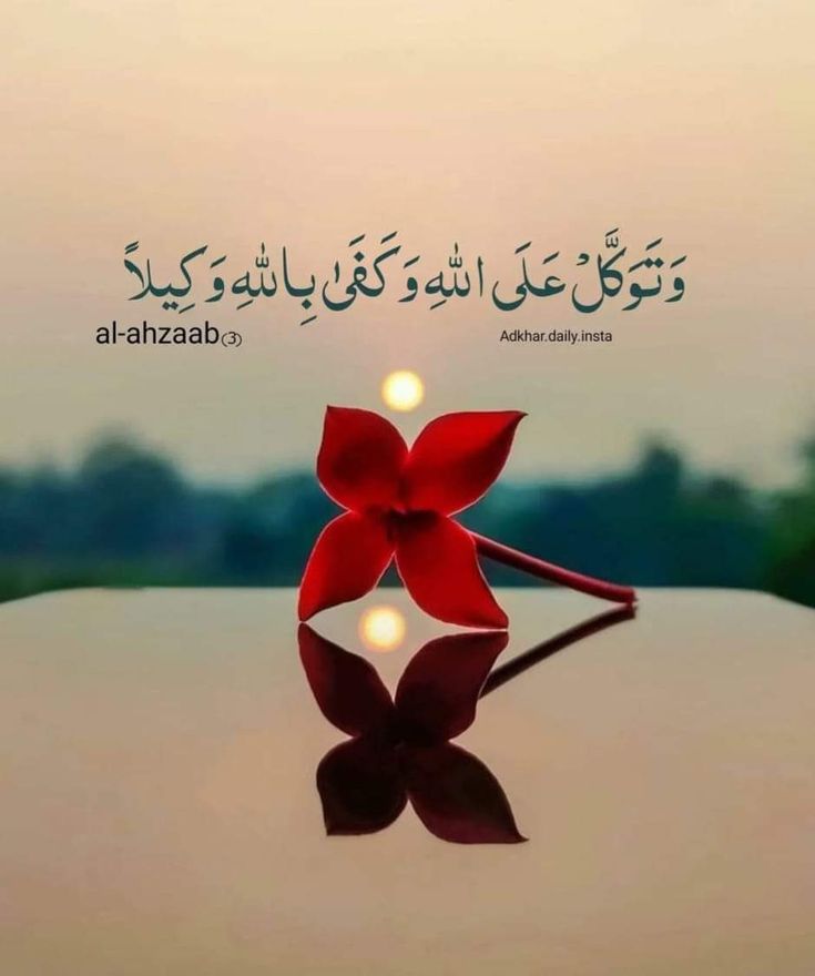 _توکل وہ راستہ ہے جس کے ذریعے آگ کو ٹھنڈا کر دیا جاتا ہے، جو ایڑیوں سے زم زم نکلوا دیتا ہے، جو دریا میں راستہ بنا دیتا ہے، جو یوسف کو یعقوب سے ملا دیتا ہے، جو شدید طوفان میں کشتی نوح کو پار لگا دیتا ہے۔ تو پھر کیا تم اپنے رب پر توکل نہیں کرو گے، جو ناممکن کو ممکن کرنے کی قدرت