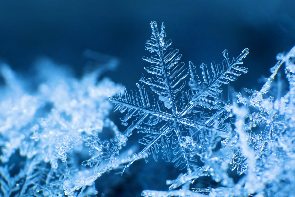 Ockerman Middle (@omshawks1) on Twitter photo Unpredictable winter weather may necessitate Boone County Schools to alter daily schedules or routines within the district.
Stay up to date with all weather-related delays and closings by following <a href="/BCSWx/">Boone County Schools Weather</a> on X. Unpredictable winter weather may necessitate Boone County Schools to alter daily schedules or routines within the district.
Stay up to date with all weather-related delays and closings by following <a href="/BCSWx/">Boone County Schools Weather</a> on X.