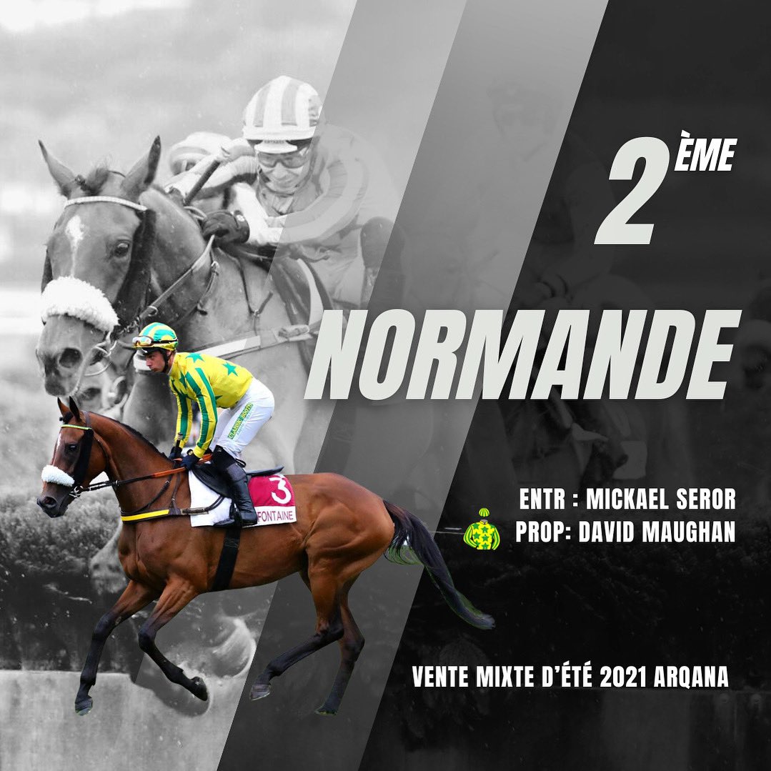 Trotting Bloodstock (@trottingblstock) on Twitter photo ๐ฅ๐ก๐ข๐ฅ๐ ๐๐ก๐๐ (Scalo) continue sa moisson de podium hier ร <a href="/hippocotdazur/">Hippodrome de Cagnes-sur-Mer ๐</a> en se classant deuxiรจme derriรจre l'intouchable Prince Chop pour <a href="/EcurieSeror/">Ecurie Mickael Seror</a> !
Fรฉlicitations aux entourages respectifs !
๐ Acquise lors de la Vente Mixte d'Etรฉ <a href="/InfoArqana/">ARQANA</a> 2021 ๐ฅ๐ก๐ข๐ฅ๐ ๐๐ก๐๐ (Scalo) continue sa moisson de podium hier ร <a href="/hippocotdazur/">Hippodrome de Cagnes-sur-Mer ๐</a> en se classant deuxiรจme derriรจre l'intouchable Prince Chop pour <a href="/EcurieSeror/">Ecurie Mickael Seror</a> !
Fรฉlicitations aux entourages respectifs !
๐ Acquise lors de la Vente Mixte d'Etรฉ <a href="/InfoArqana/">ARQANA</a> 2021