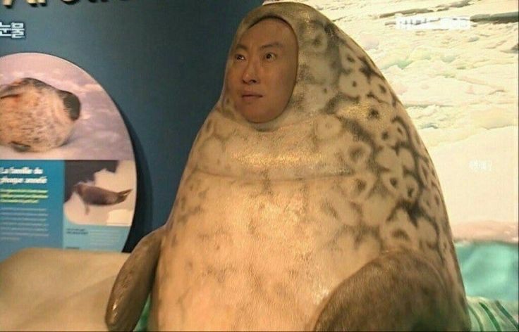 mene_seal's tweet photo. This is my dream job if I'm being honest https://t.co/FgwYFeXKkV