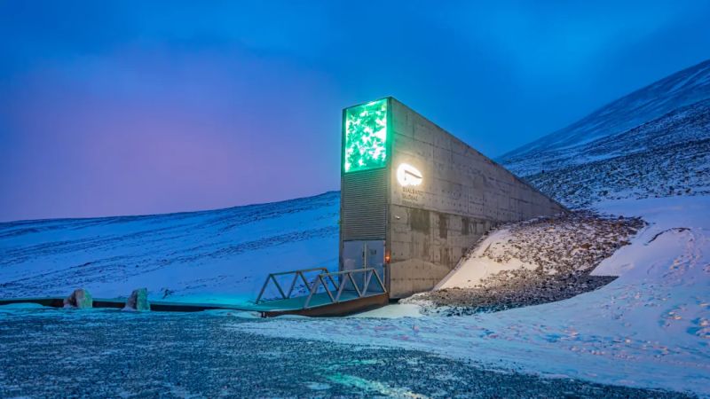 RT: Angus Hervey
➡️Svalbard Global Seed Vault is humanity's most important backup site for #seeds 
➡️📈and this year it banked 
more than ➡️📈30,000 new samples from 23 depositors across 21 countries, including 7 international #genebanks. 
#germplasm #plantbreeding #FoodSecurity