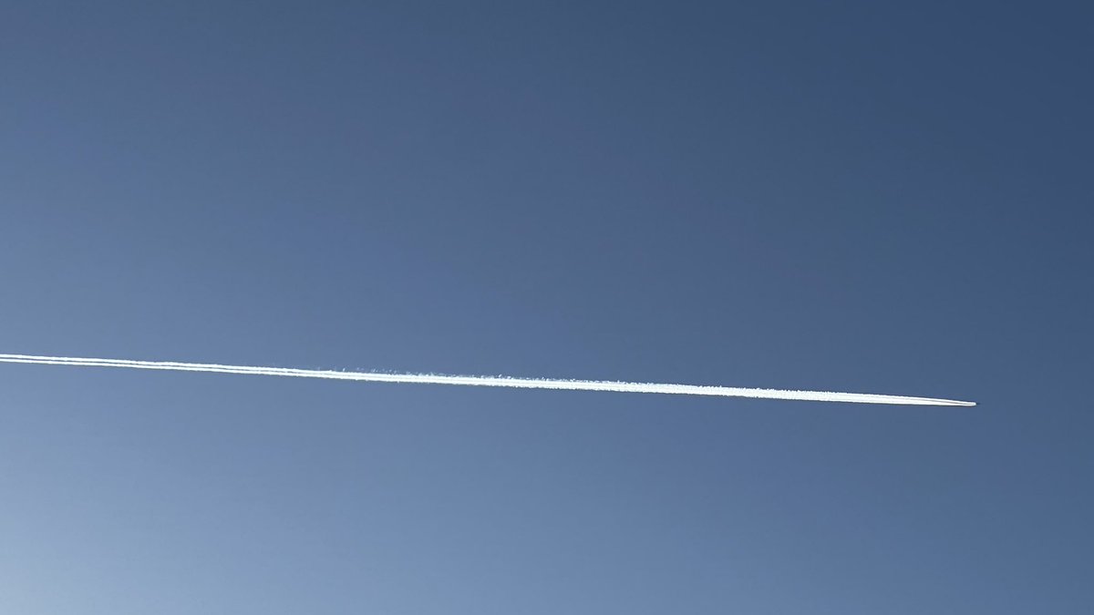 Steve Newall ⛅️ tweet media