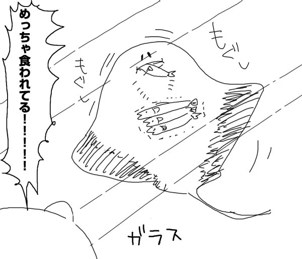 いつの間にか年が明けていて驚きです。先日久しぶりに水族館に行ったのですが、エイがモッシャモッシャいわしを食べていたのが印象的でした。本年もよろしくお願いします。 
