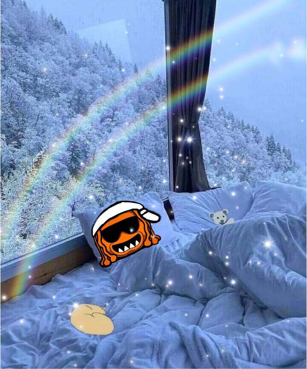 tombymattsol's tweet photo. $TOM is basically all of us on Monday morning: lost but determined. 😂 https://t.co/grM4rlcX6G