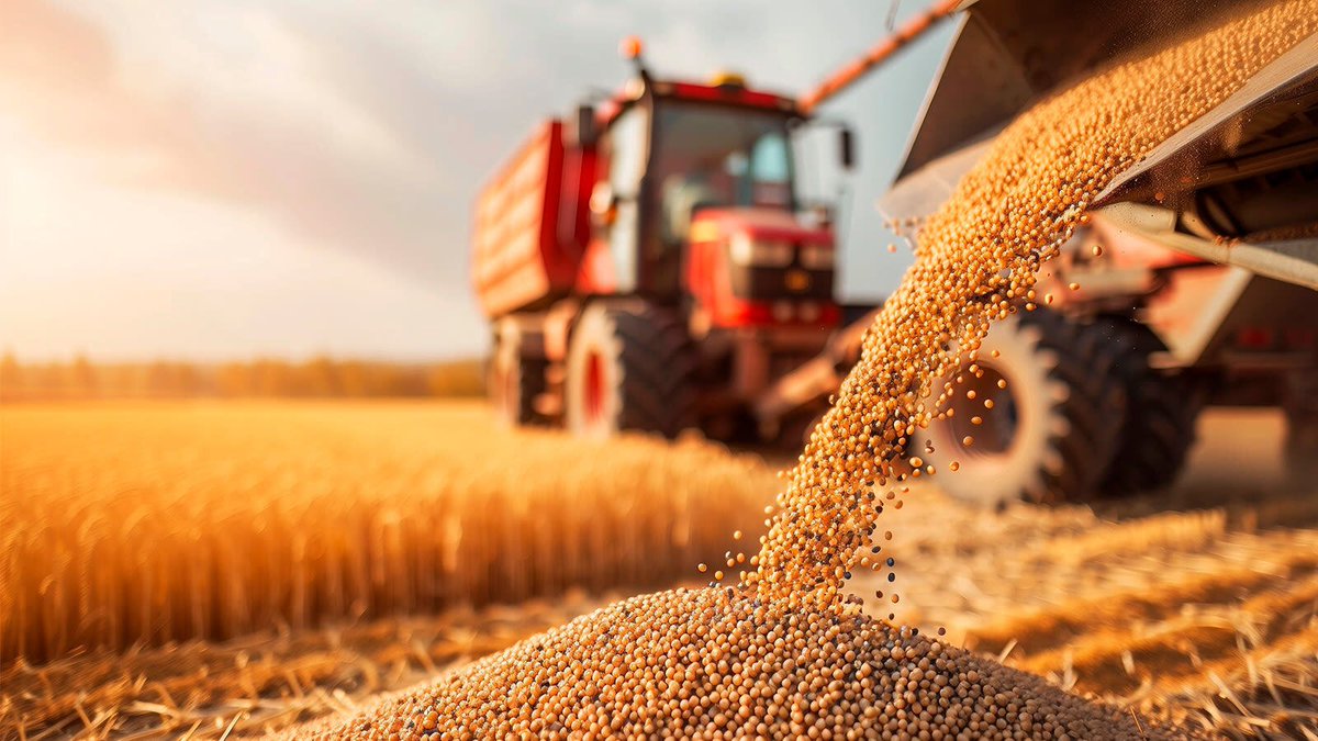 pix4d's tweet image. In 2024 #PIX4Dfields helped farmers reduce chemical use by 90%, supported conservation, sustainability, and regreening projects, and simplified agricultural workflows by reducing time and labor.

Here’s to even greater success in 2025! 🥂 🎉hubs.li/Q030YTCt0