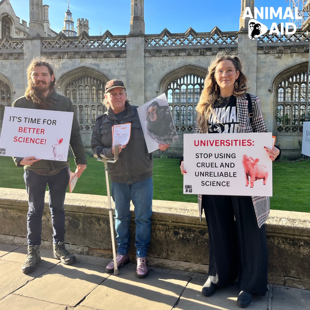 AnimalAid's tweet image. ✨️Animal Aid top achievements 2024✨️
Our Universities Challenged campaign hit the streets to demonstrate against the use of animal testing in universities🐁 
🔗tinyurl.com/yck7yawa
Consider supporting our work ➡️tinyurl.com/5n6mfj66
#Achievements #2024 #Animals