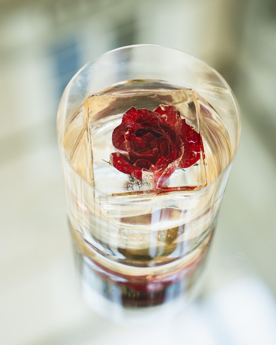 🌹 Descubre "Flores", nuestra nueva línea de cócteles signature inspirada en la riqueza floral y paisajes de Ecuador. 🇪🇨

🏔️ Te presentamos "Flor de Cayambe". 📲 Realiza tu reserva en el link: bit.ly/3BYTbL1

#FloresEnCasaGangotena #CóctelesSignature #SaboresDeEcuador