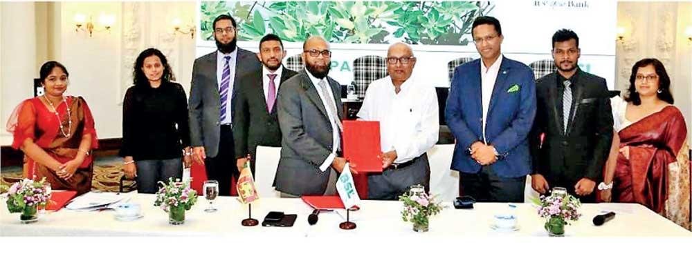 Amana Bank joins hands with Biodiversity Sri Lanka to restore Mangrove Ecosystems

Read More: dailymirror.lk/business-news/…

#ItsYourBank