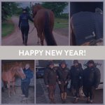 Photo by Bequestrian (@B_Equine)