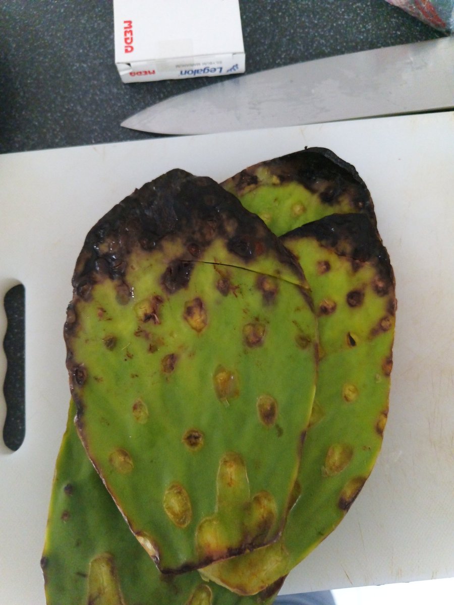 forestlord0's tweet photo. @Chedrauioficial   Así vende la sucursal Caucel en Mérida Yucatán, los alimentos, esconde nopales podridos entre los buenos, a precio normal. Gracias por su honestidad y aprecio, también a sus finos trabajadores, que joden a sus hermanos. Feliz año nuevo. https://t.co/aLrAtNluxd