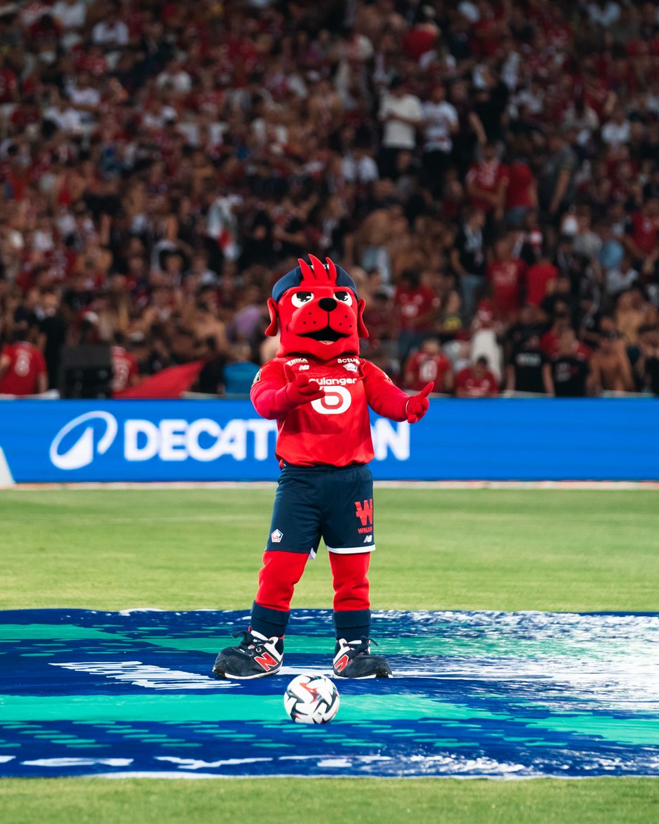LOSC tweet media