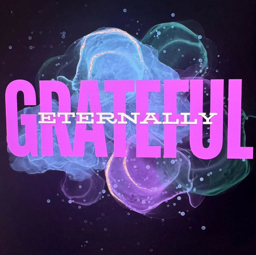 2 WEEKS AWAY: Don't miss Eternally Grateful w/ Steel City Soundwave &amp; Life Is But A Dream at Sneaky Dee's on Sat Feb 8! Tickets available at: bit.ly/4gA7ioO