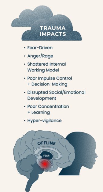 MissionSAFE tweet media