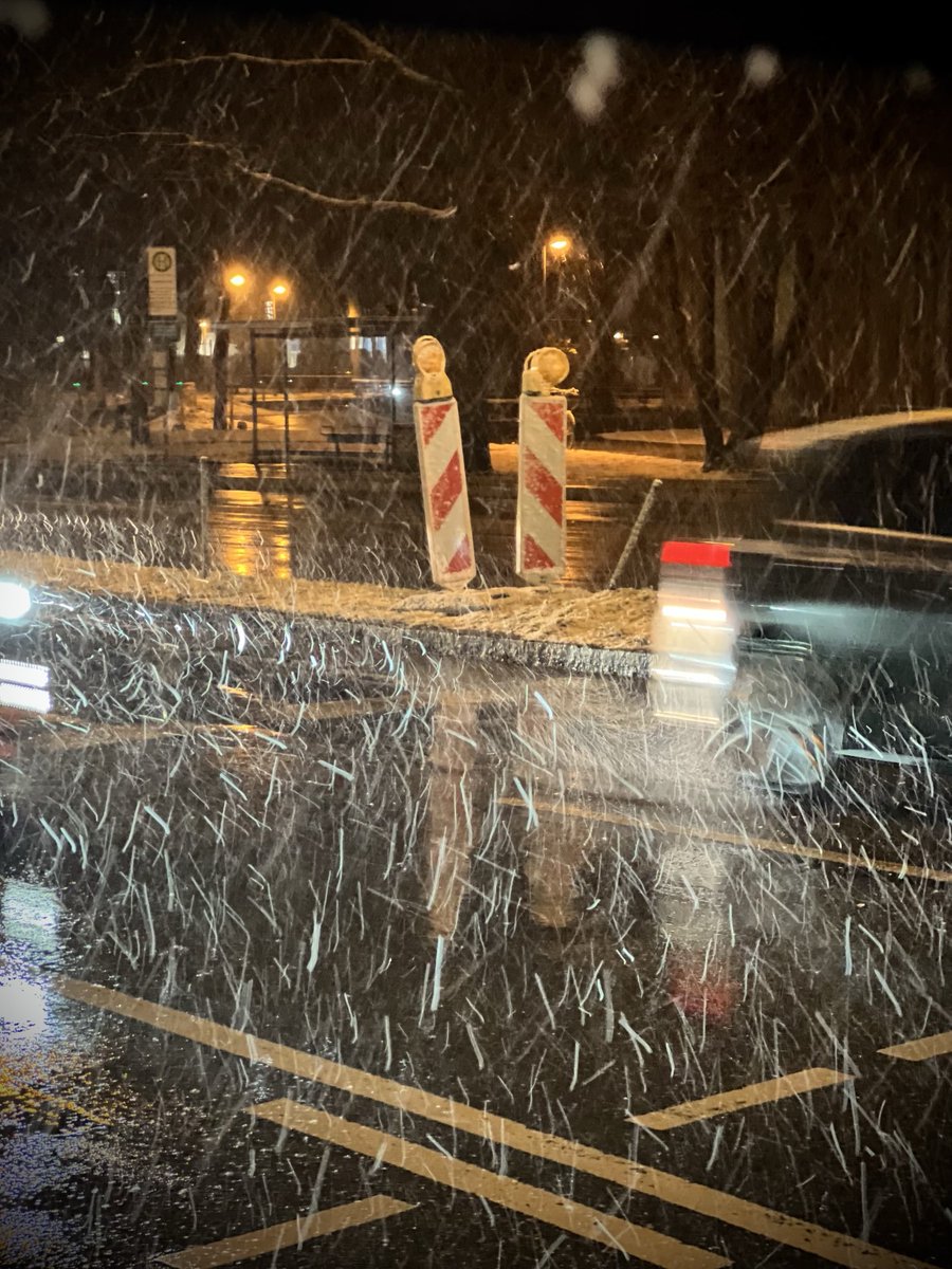 When the world is covered in snow, the spirit dances in the winter light❣️⭐️