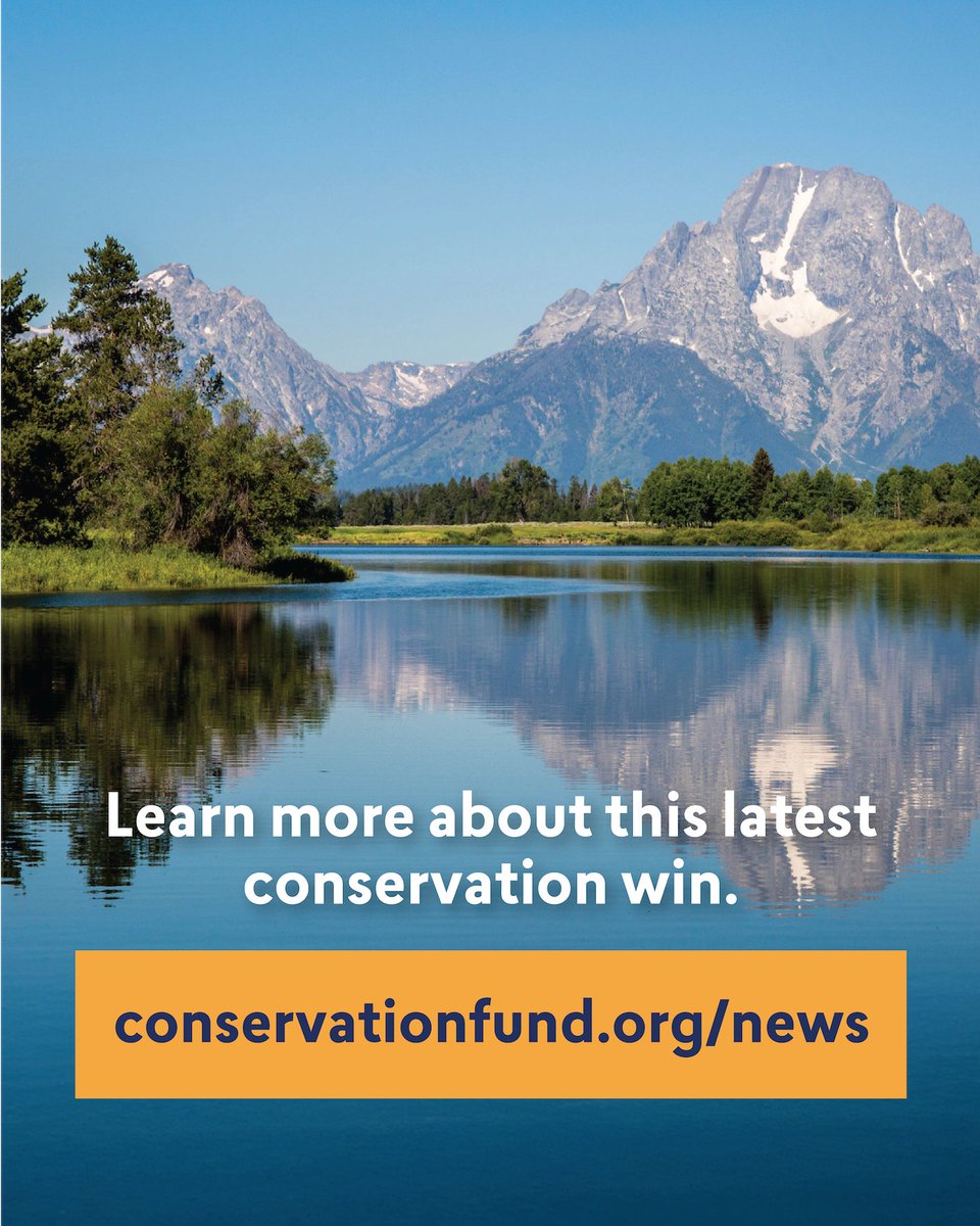 The Conservation Fund (@conservationfnd) on Twitter photo 🎉 Conservation Win! This week we're celebrating alongside <a href="/GrandTetonFdn/">Grand Teton Foundation</a> and the <a href="/NatlParkService/">National Park Service</a> for the extraordinary success of protecting one of the last remaining pieces of unincorporated land within <a href="/GrandTetonNPS/">Grand Teton National Park</a>. More: bit.ly/40fY0Jq. 🎉 Conservation Win! This week we're celebrating alongside <a href="/GrandTetonFdn/">Grand Teton Foundation</a> and the <a href="/NatlParkService/">National Park Service</a> for the extraordinary success of protecting one of the last remaining pieces of unincorporated land within <a href="/GrandTetonNPS/">Grand Teton National Park</a>. More: bit.ly/40fY0Jq.
