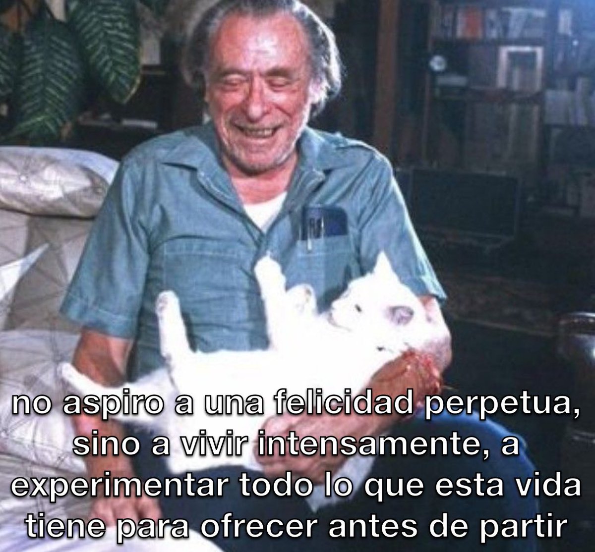 emociones amarillas (@conoloracigarro) on Twitter photo 